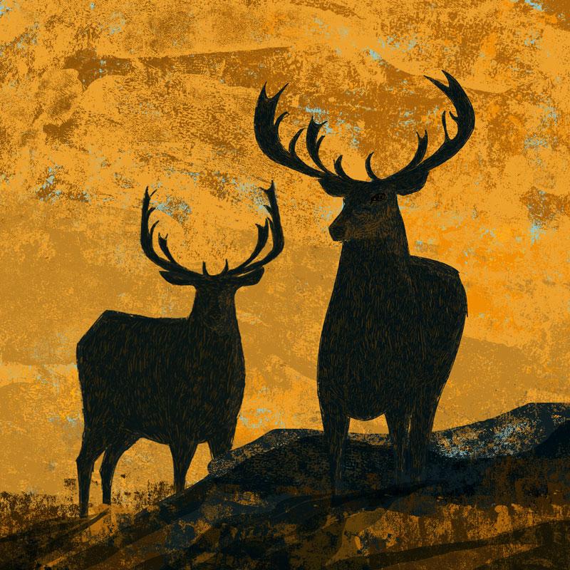 image of red deer stags